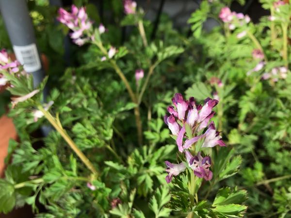 rblog-20190401164419-08.jpg