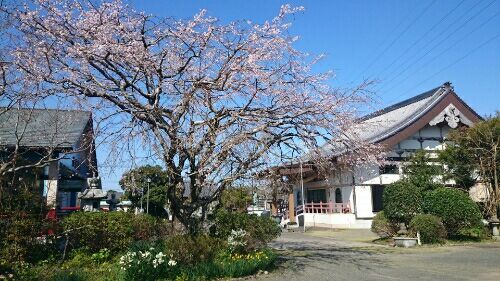 rblog-20180317175009-01.jpg