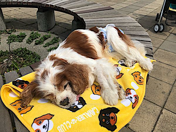 rblog-20180423141141-04.jpg
