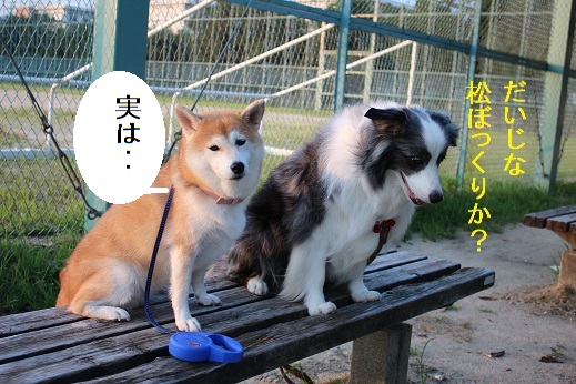 そんなに