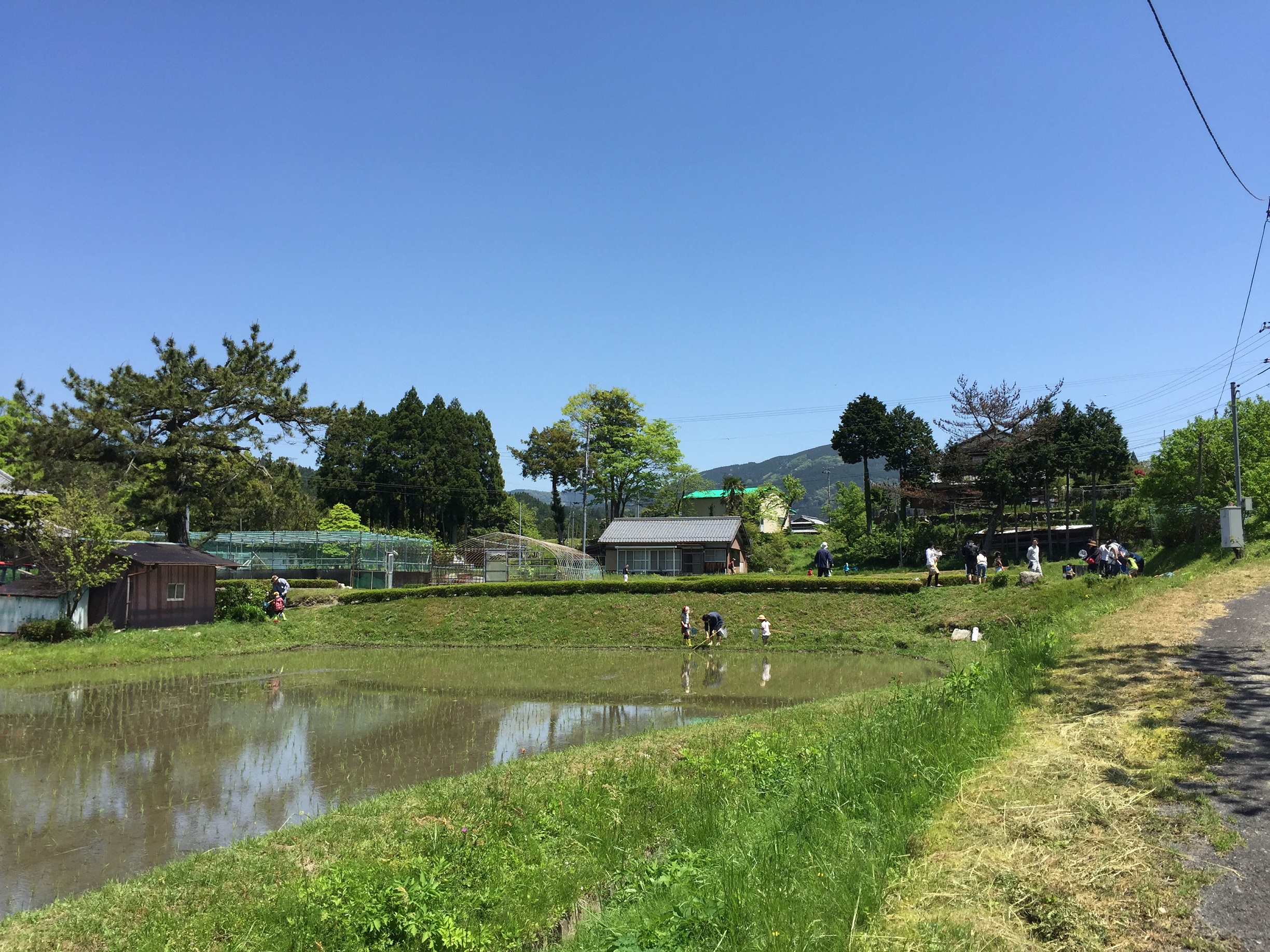 路線バス 気まぐれ探訪記