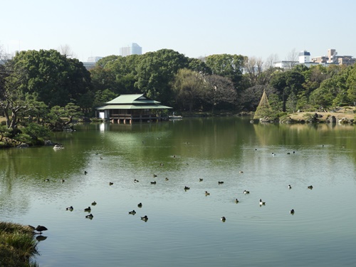 清澄庭園にて