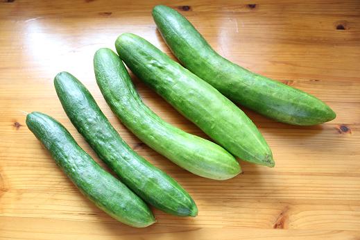 IMG_3081 - コピー.JPG