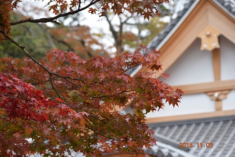DSC_0198.JPG
