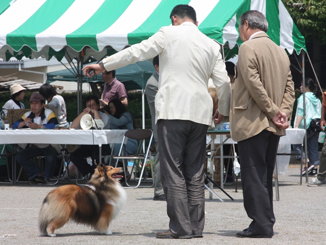 IMG_1819 - コピー.JPG