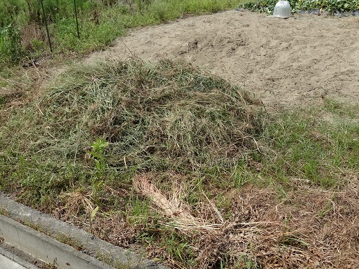 DSC02289.JPG