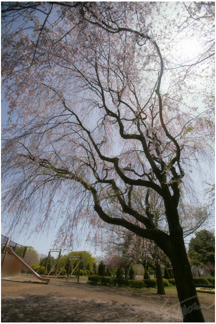 船橋アンデルセン公園
