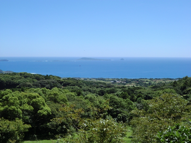005 (640x480).jpg