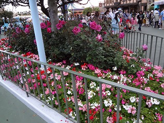 DSC01356.jpg