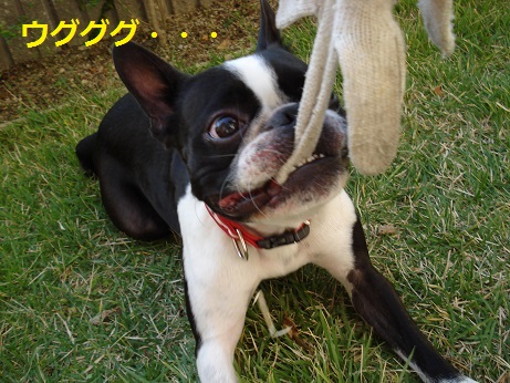 DSC05000.jpg