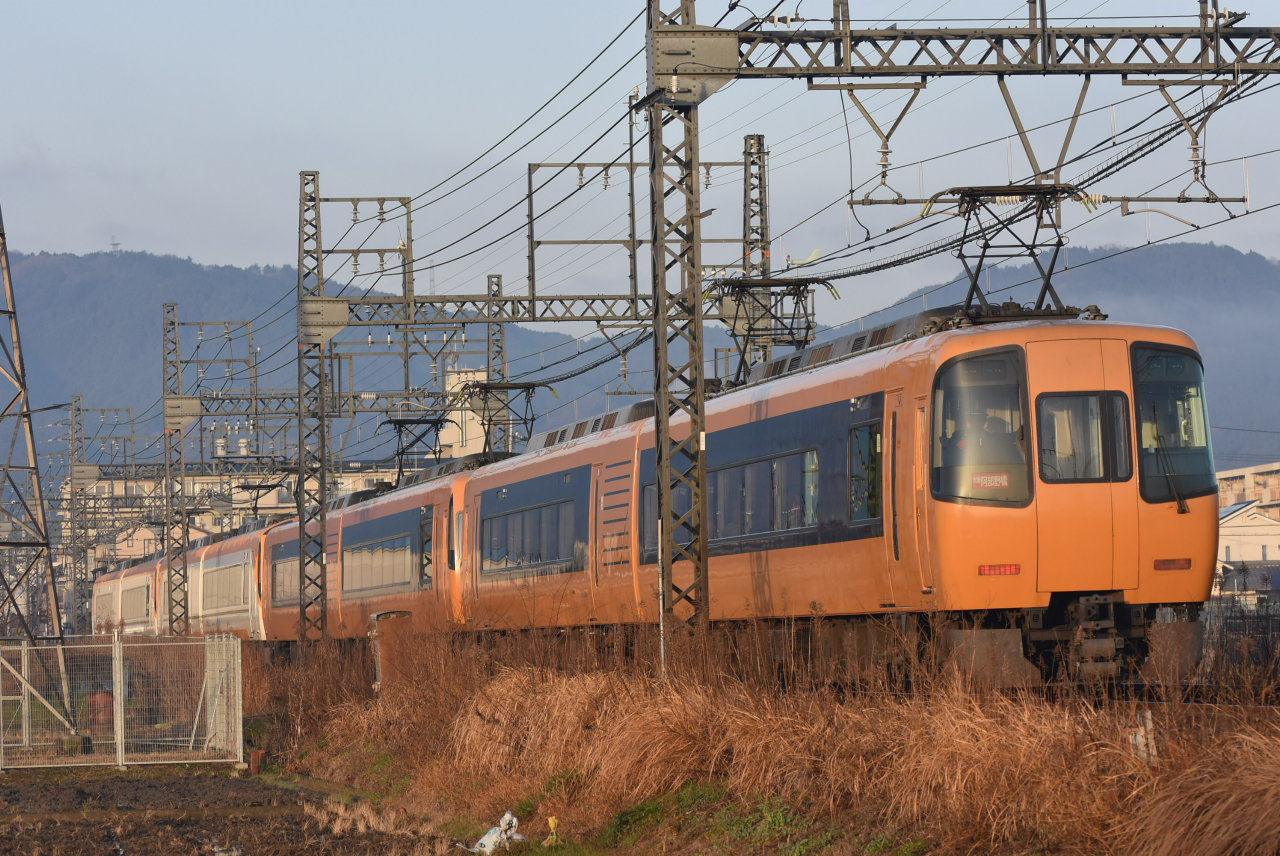 DSC_8402.JPG