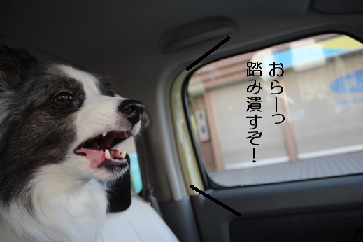 踏み潰す