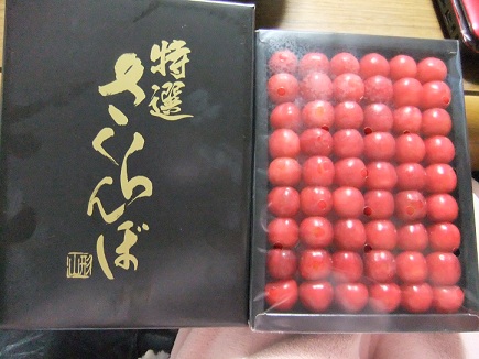 佐藤錦