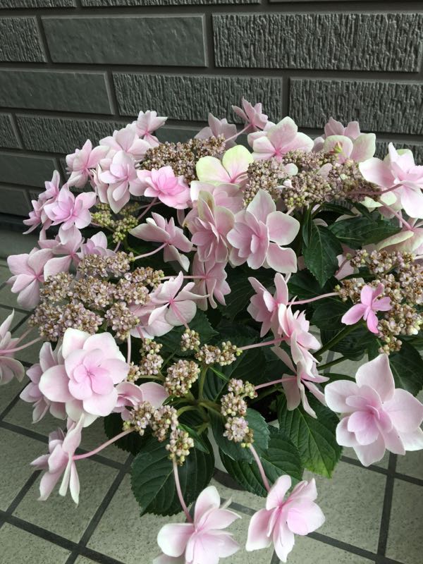 rblog-20180530231725-01.jpg