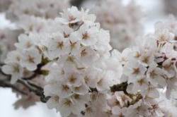 2015040407.jpg