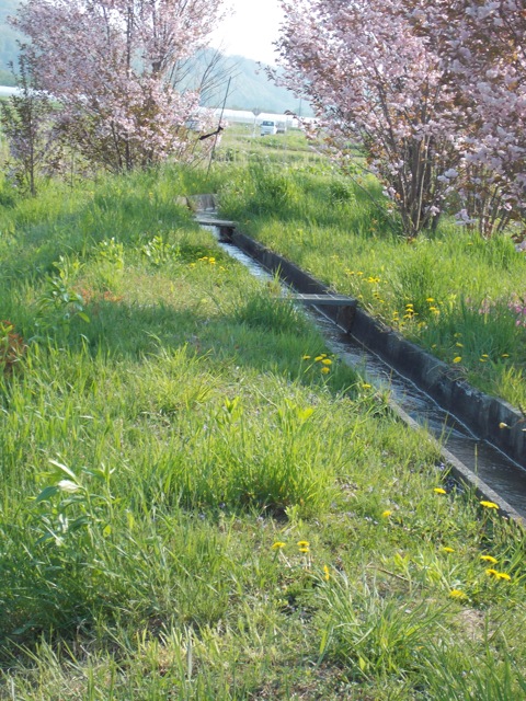 用水路
