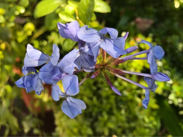 rblog-20171026190452-06.jpg