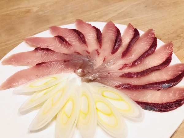 今年のイシダイはどこへ？？ | スパ郎の旅日記 - 楽天ブログ