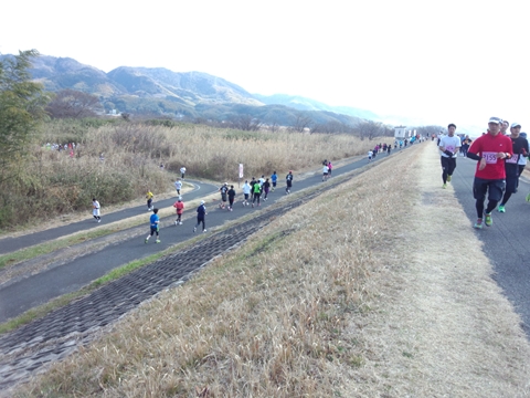 IMG_20130203_115635501_R.jpg