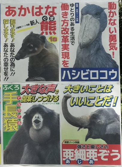 動物総選挙2.jpg