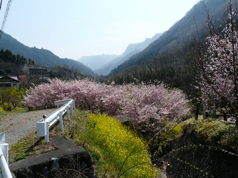 P1080251.JPG