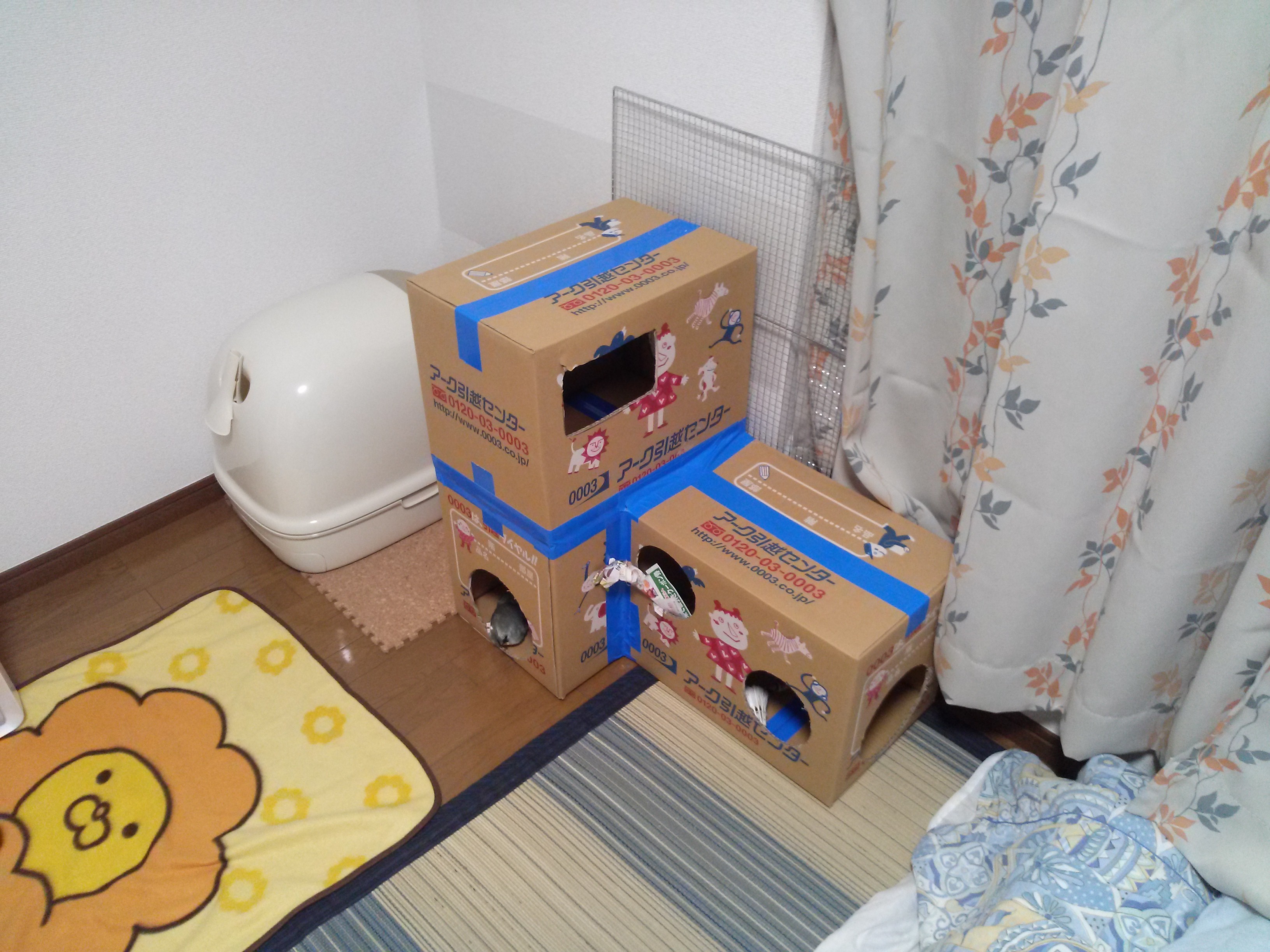 段ボールトンネル