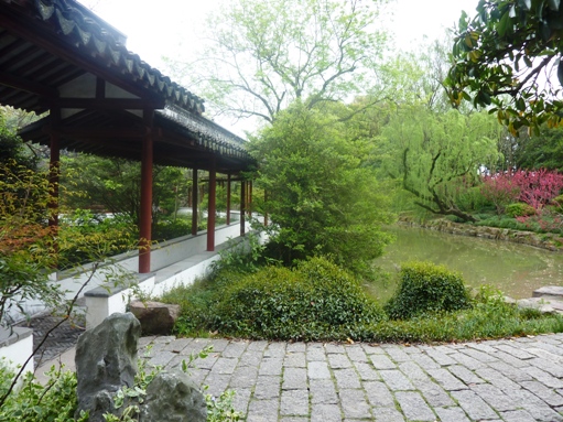 P1030365酔白池６.JPG