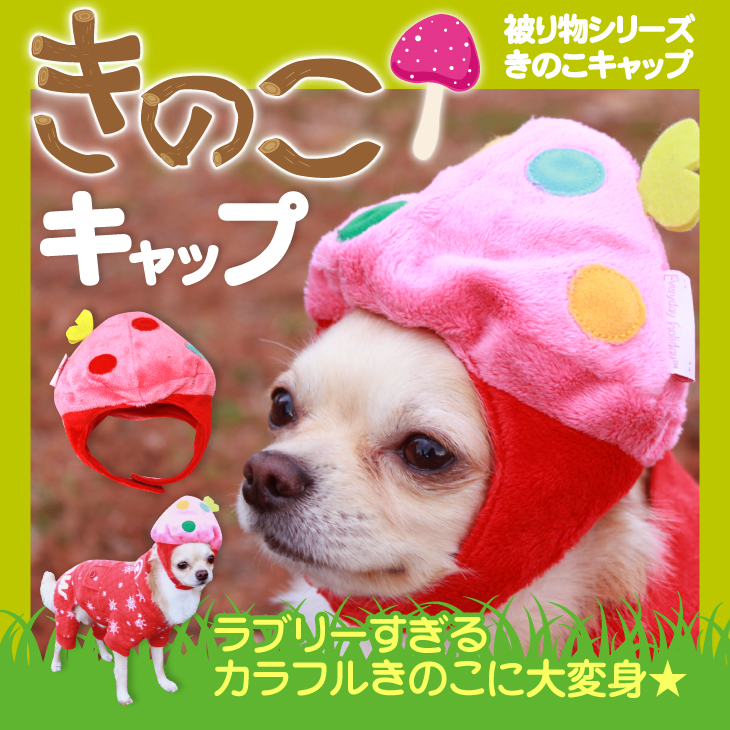 きのこﾊｯﾄ