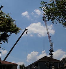 IMG_1625-27.jpg