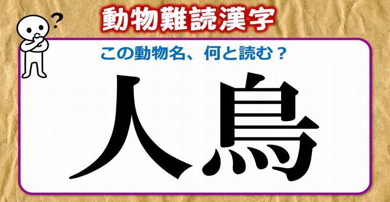 動物難読漢字 難しい読みをする動物名の漢字問題 全30問 子供から大人まで動画で脳トレ 楽天ブログ