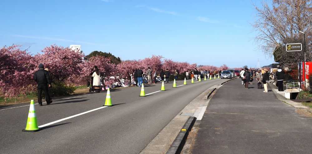 きんちゃん７２７日記