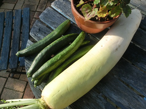 野菜