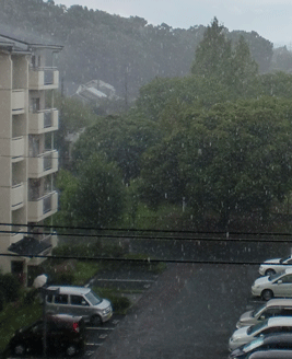 ツブＦにわか雨