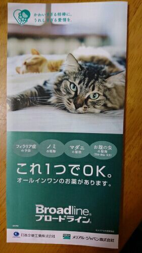 rblog-20170710191355-01.jpg