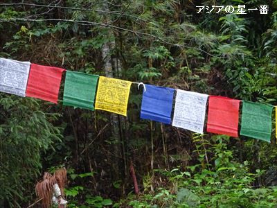20160726 タンゴ寺4