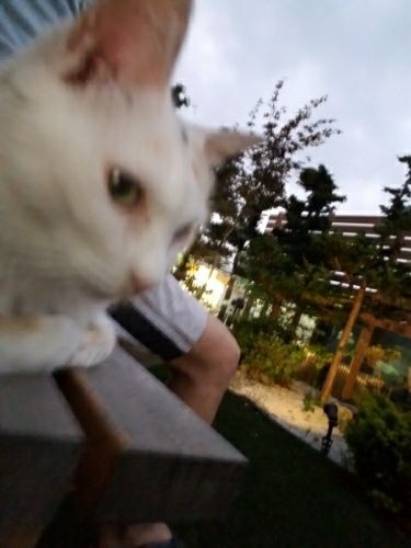 rblog-20180724222707-01.jpg