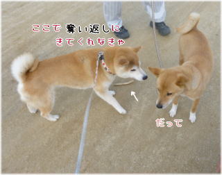 0430朝6.jpg