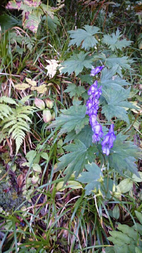 rblog-20150930212107-09.jpg