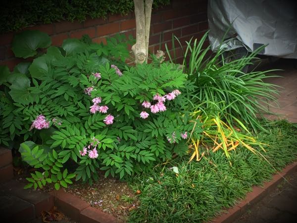 rblog-20160528224739-03.jpg