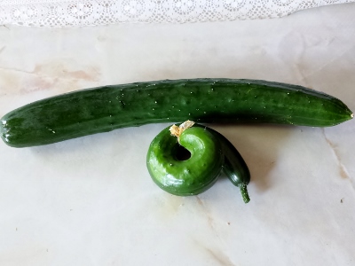 20160814_090013 (400x300).jpg