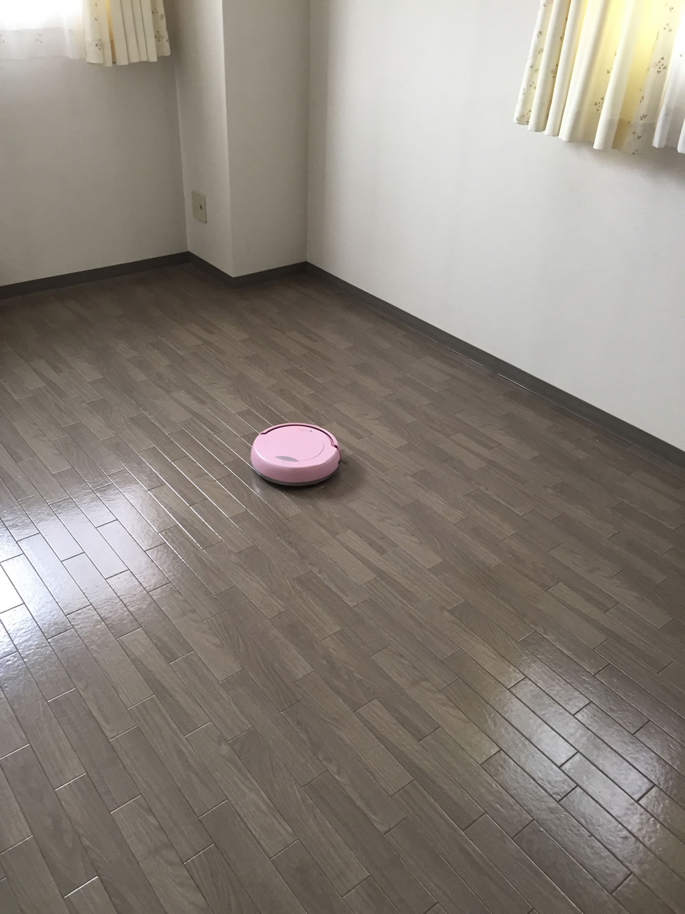 りぼんちゃん２