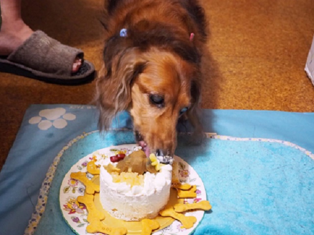 Riku's cake2.jpg