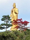 IMG_1918.JPG