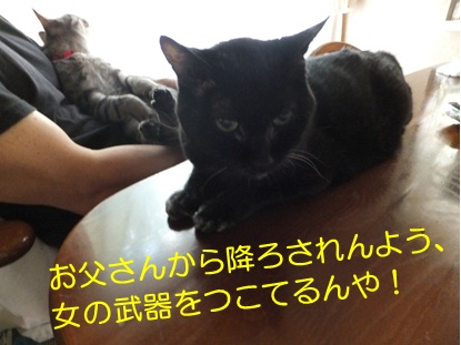 20120920_4.jpg