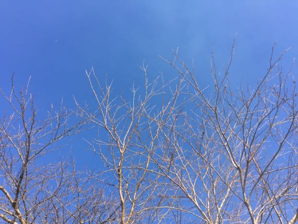 rblog-20180307080348-02.jpg