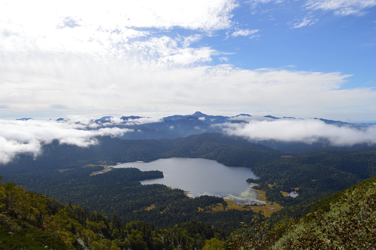 尾瀬沼.jpg