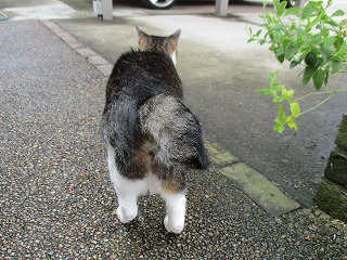 IMG_9299ss.jpg
