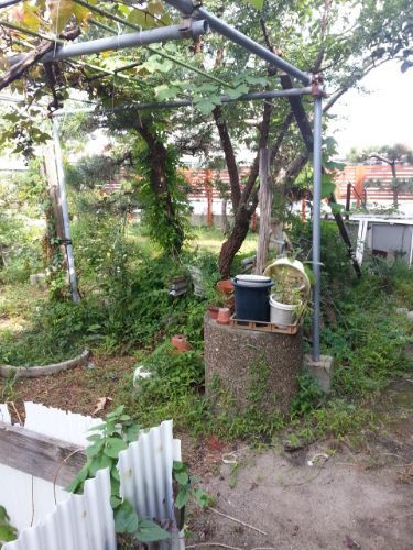 rblog-20181207010032-03.jpg