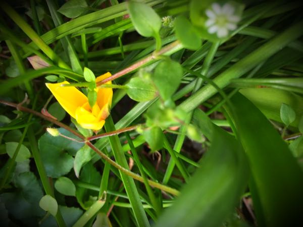 rblog-20160330184054-02.jpg