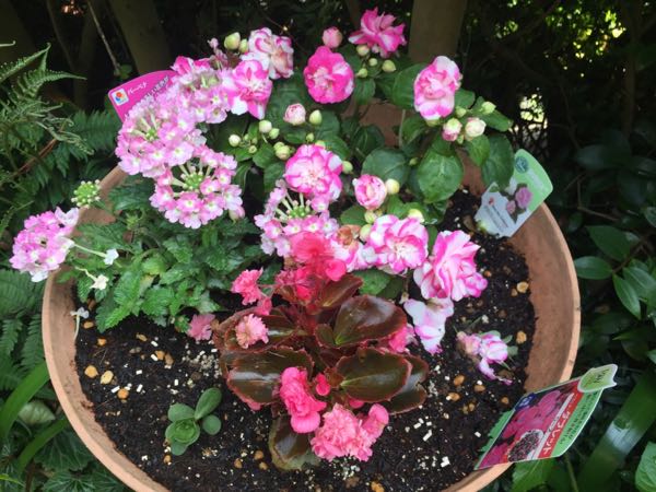 rblog-20160531194557-06.jpg